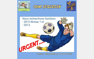 Urgent . recherche gardiens de but 