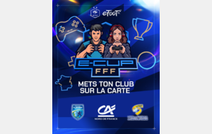 eCup FFF District Flandres