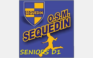 SEQUEDIN OSM reçoit LA CHAPELLE FC