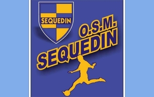 SENIORS D1 à LESQUIN US