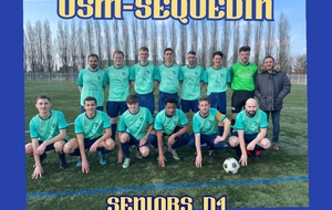 SENIORS D1 reçoit YSER US