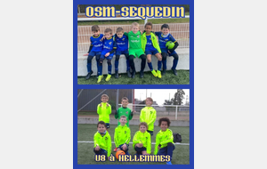 Seq.U8 à HELLEMMES AS