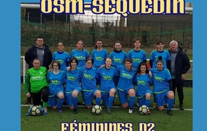 FEMININES D2 à VILLENEUVE D'ASCQ FF