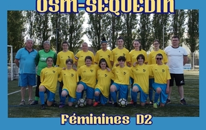 FEMININES D2 reçoit VILLENEUVE D'ASCQ FF