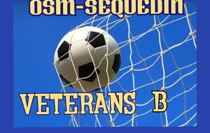 VETERANS 2 reçoit WASQUEHAL FOOT