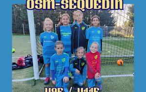 Seq.U8/U9 Féminines à SEQUEDIN