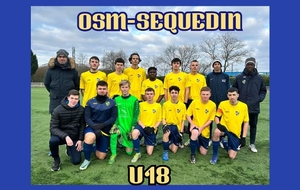 Seq.U18 U19 D1 à RONCHIN US