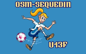 Seq.U13 Féminines à SECLIN 